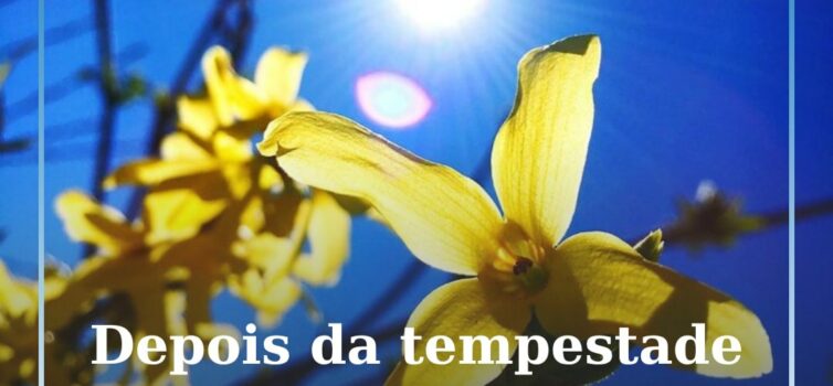Bom tempo regressa a Portugal a partir de 17 de novembro