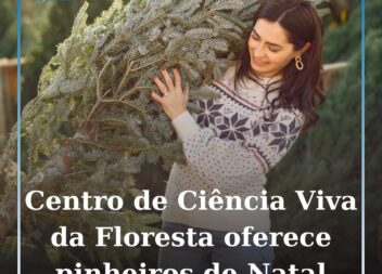 CCVFloresta, em Proença-a-Nova