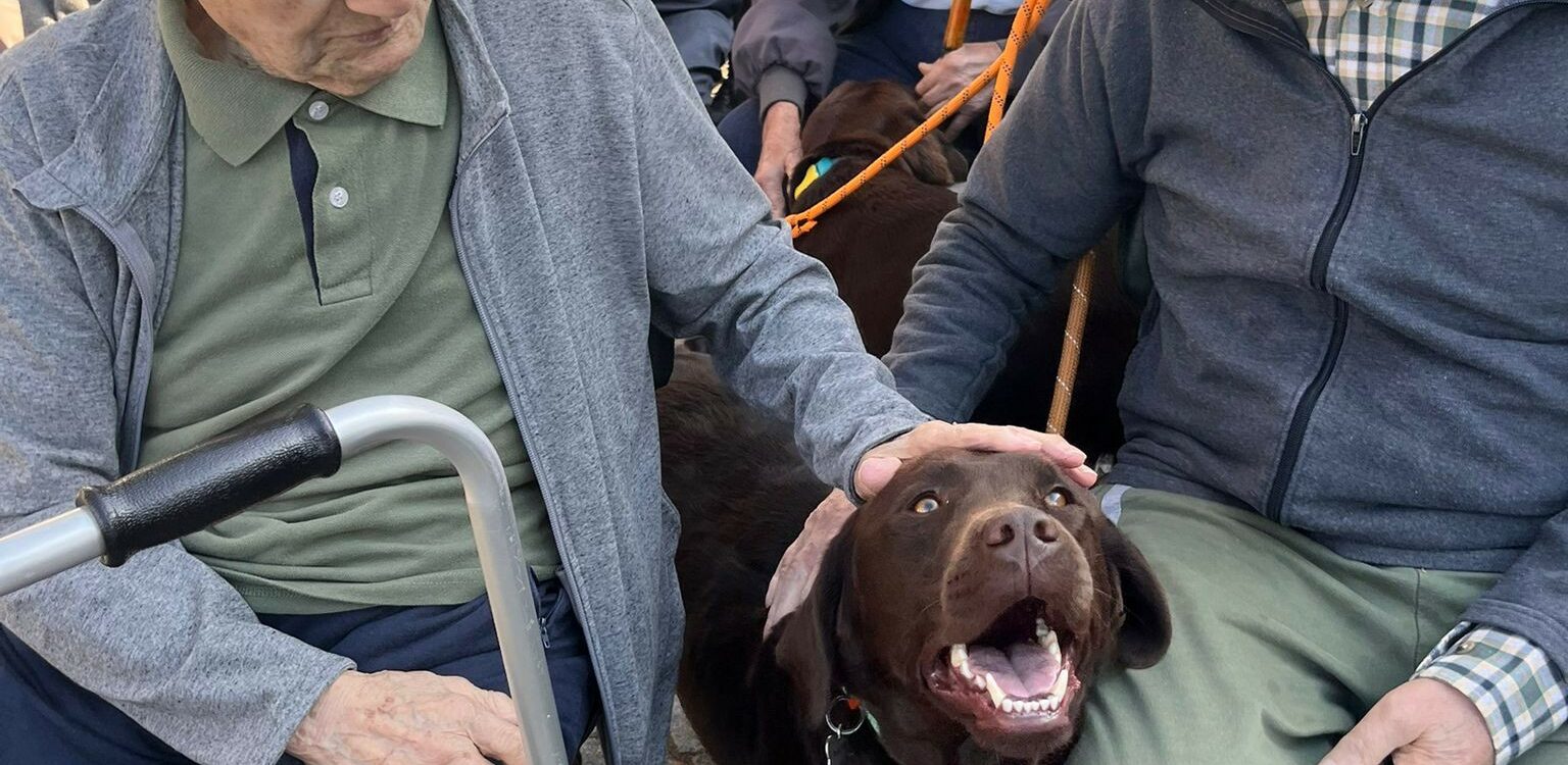 Cães da A.R.C.A. levam alegria a Idosos e Crianças da SCMCB