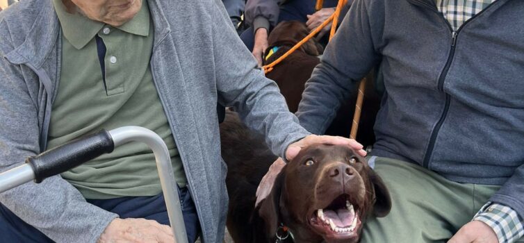 Cães da A.R.C.A. levam alegria a Idosos e Crianças da SCMCB