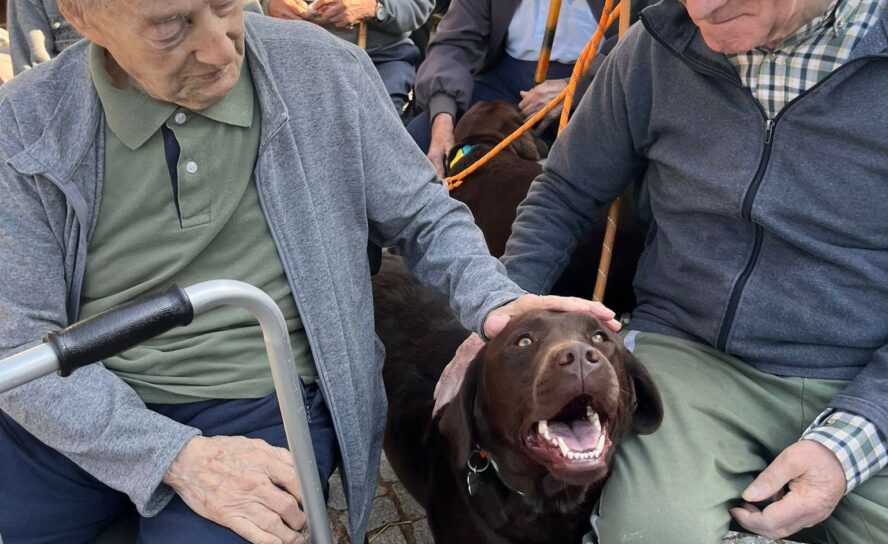 Cães da A.R.C.A. levam alegria a Idosos e Crianças da SCMCB