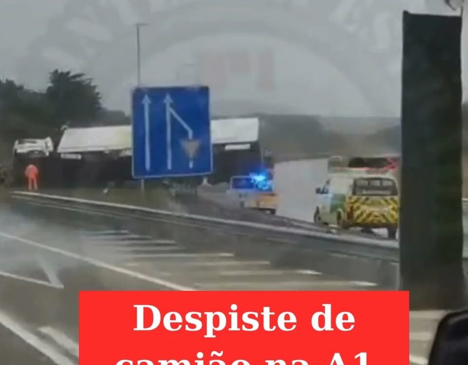 Camião despisa-se na A1