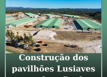 Construção dos pavilhões da Lusialves em fase final