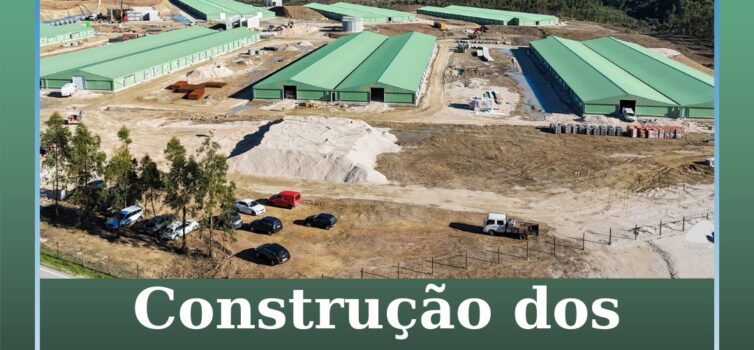 Construção dos pavilhões da Lusialves em fase final