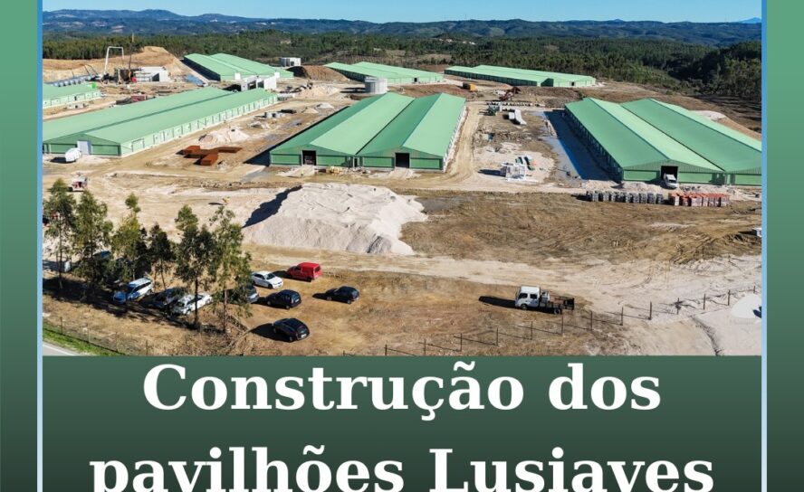 Construção dos pavilhões da Lusialves em fase final