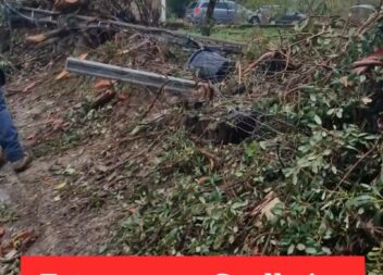 Depressão Cláudia causa estragos na Soalheira