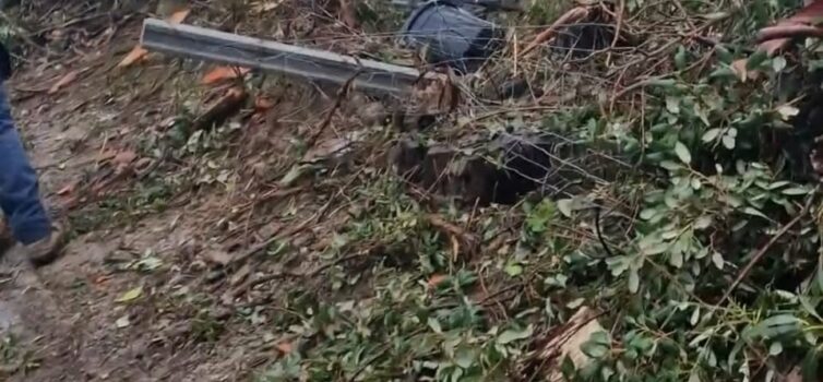 Depressão Cláudia causa estragos na Soalheira