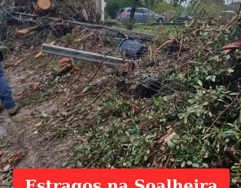 Depressão Cláudia causa estragos na Soalheira