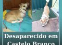 Desaparecido em Castelo Branco