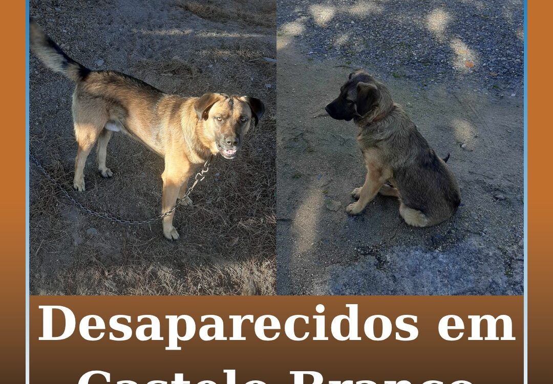 Desaparecidos em Castelo Branco