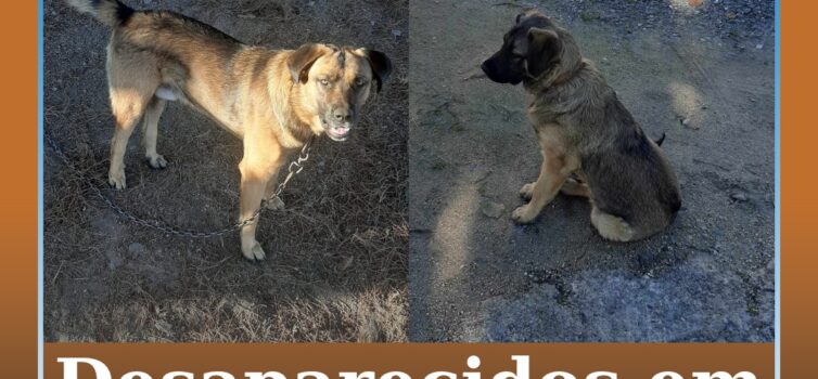 Desaparecidos em Castelo Branco