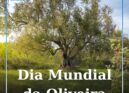 Dia Mundial da Oliveira