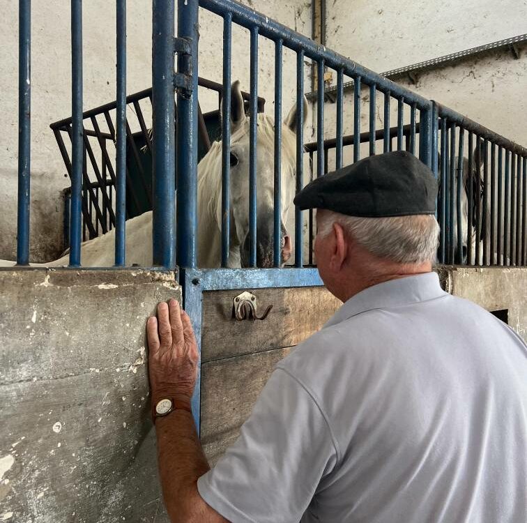 Dia do Animal na Santa Casa da Misericórdia de Castelo Branco