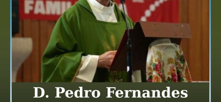 Diocese Portalegre-Castelo Branco