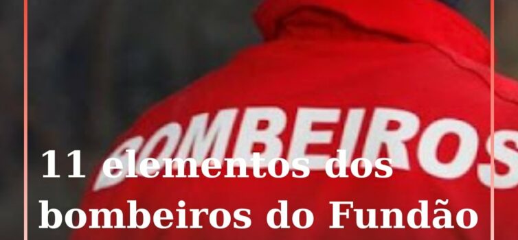 Em comunicado, a Polícia Judiciária informa que uma investigação do Departamento