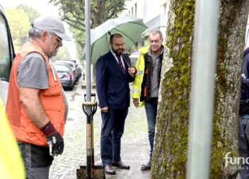 Fundão inicia remoção das caldeiras das árvores