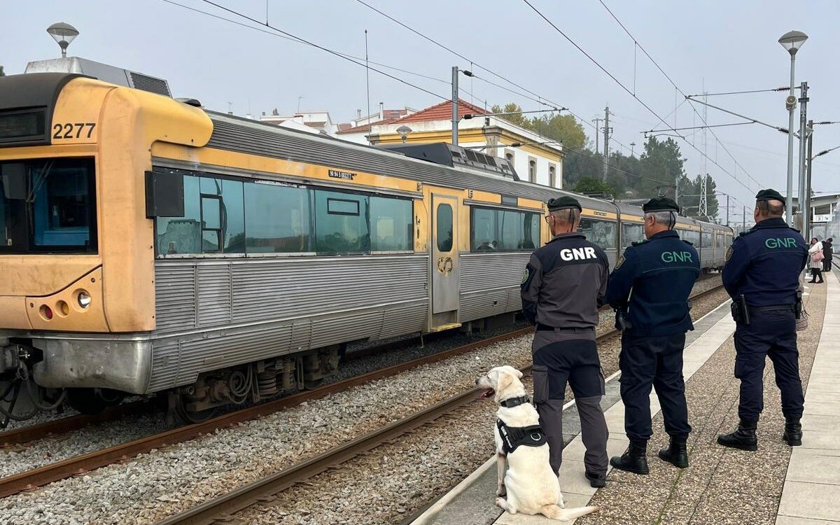 GNR de Castelo Branco realiza ação de fiscalização em infraestruturas ferroviári