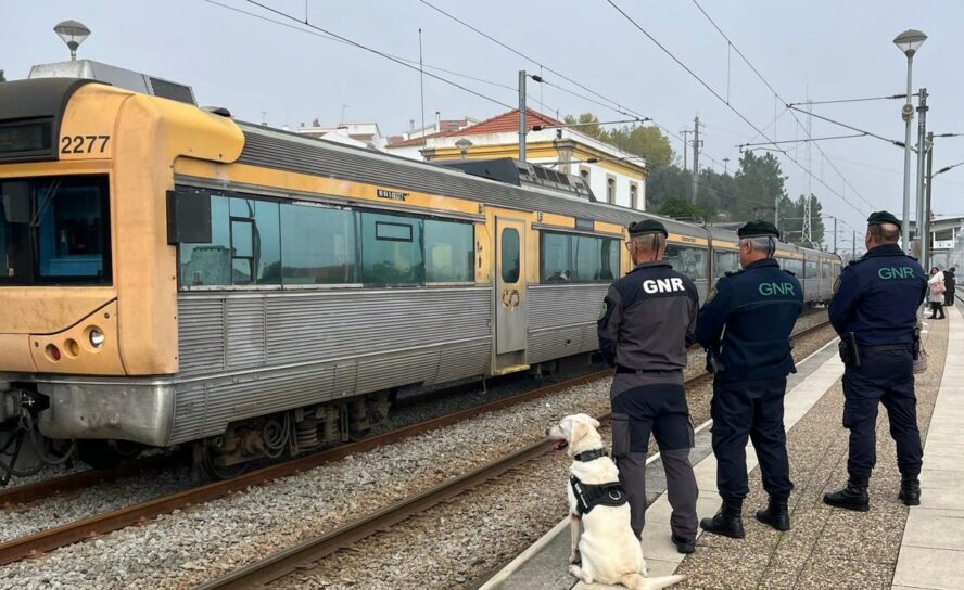 GNR de Castelo Branco realiza ação de fiscalização em infraestruturas ferroviári