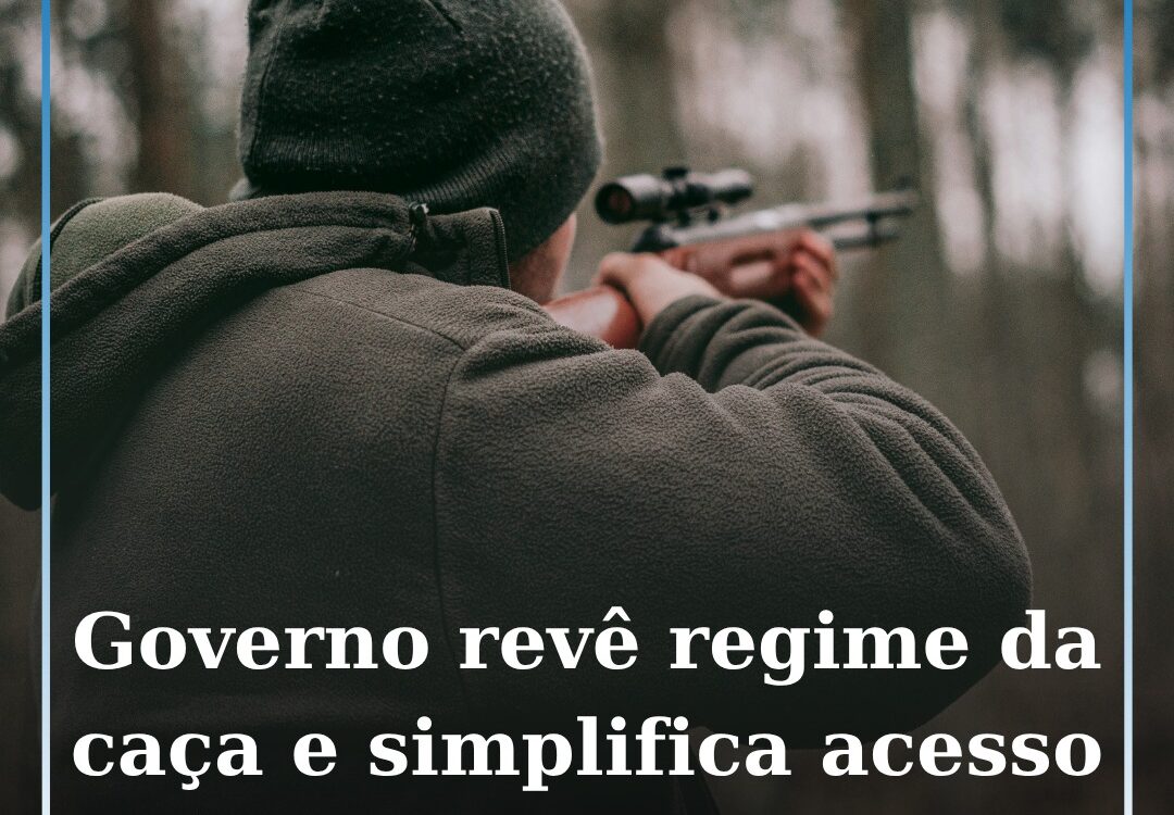 Governo revê regime da caça e simplifica acesso à carta de caçador