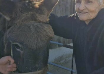 Idosos da Santa Casa da Misericórdia de Vila Velha de Ródão visitam Quinta Pedag