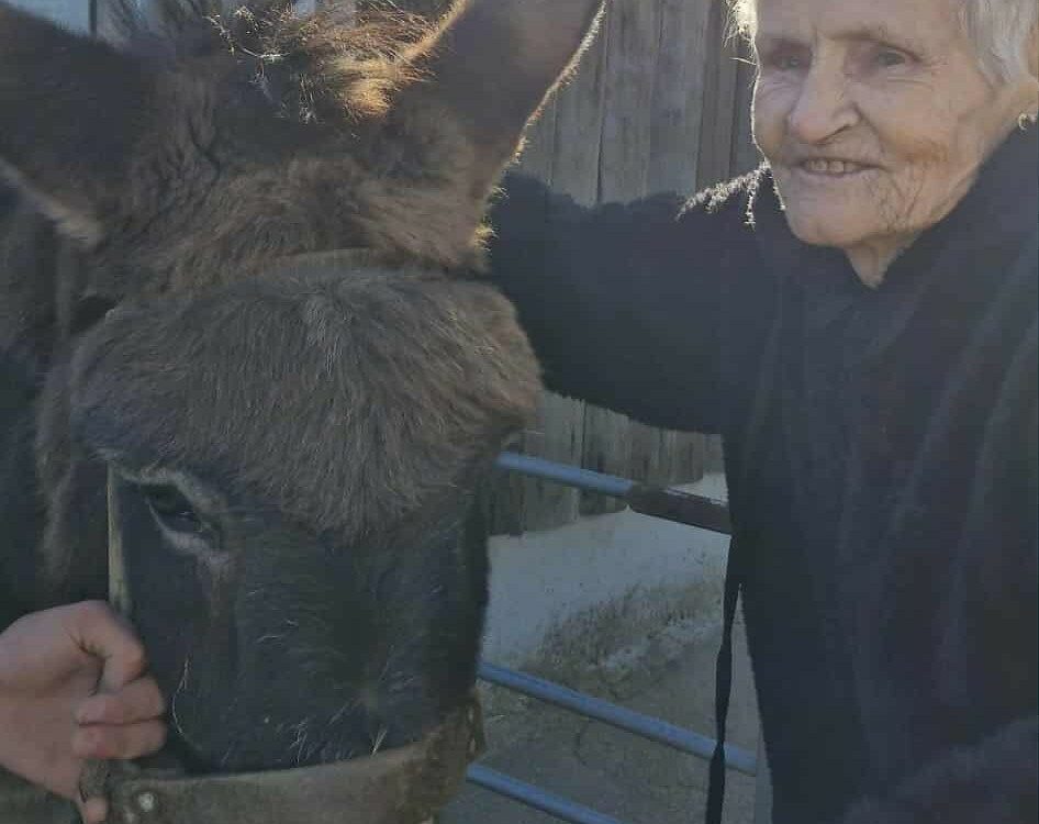 Idosos da Santa Casa da Misericórdia de Vila Velha de Ródão visitam Quinta Pedag