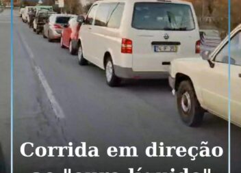 Longas filas de veículos marcam entrega de azeitona no lagar do Fundão