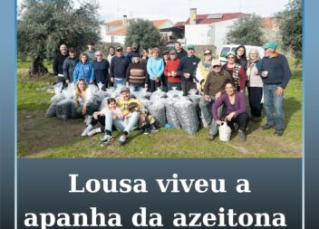 Lousa vive manhã comunitária de colheita de azeitona