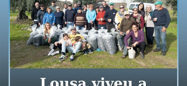 Lousa vive manhã comunitária de colheita de azeitona