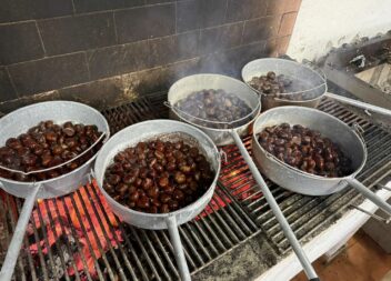 Magusto Tradicional reúne comunidade em Toulões