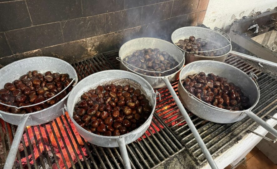 Magusto Tradicional reúne comunidade em Toulões