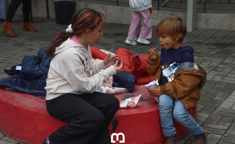 Magusto de São Martinho nas escolas de Belmonte
