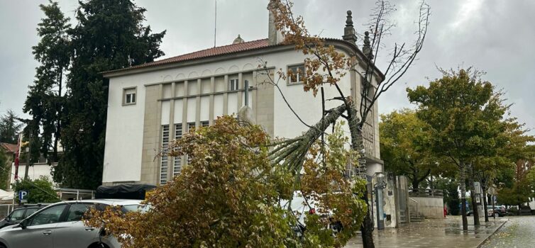 Mau tempo causa várias ocorrências em Castelo Branco