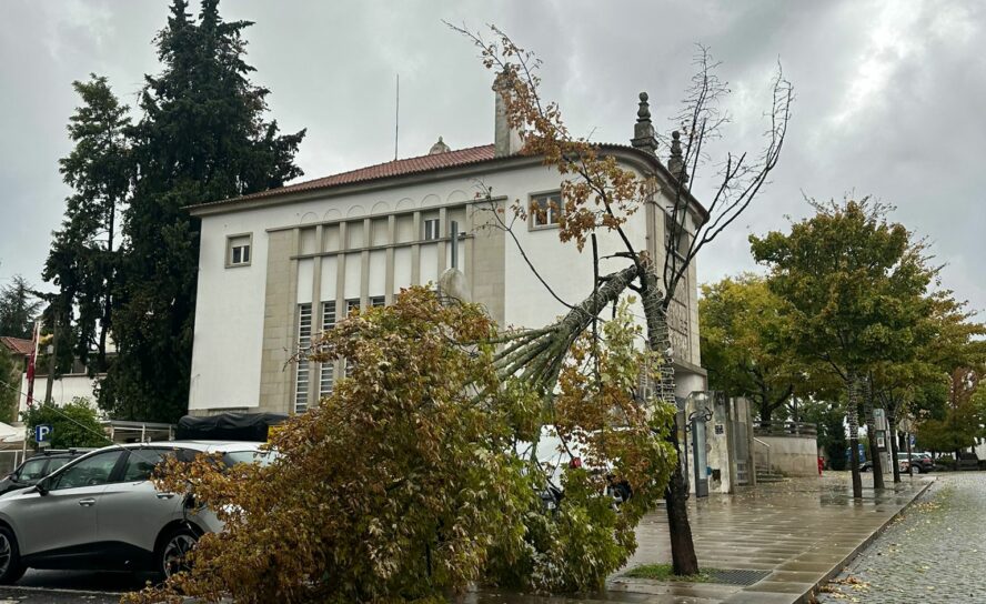 Mau tempo causa várias ocorrências em Castelo Branco