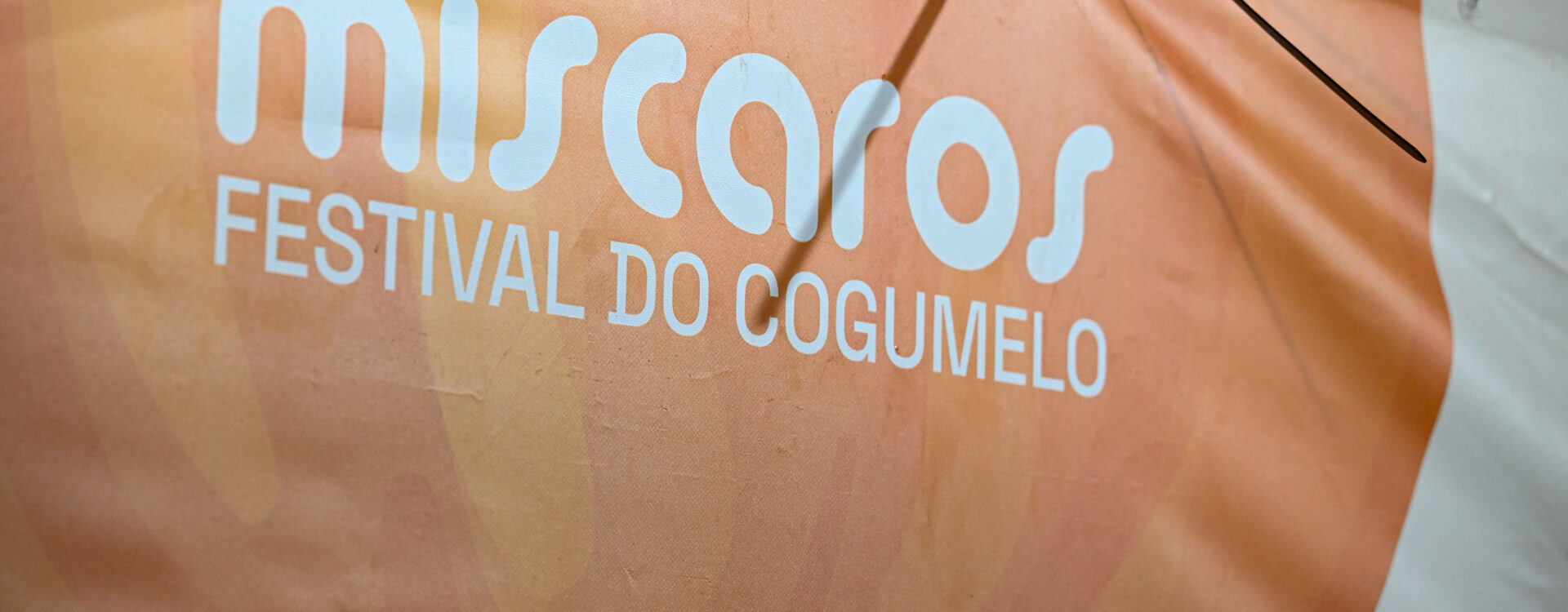 Míscaros - Festival do Cogumelo, em Alcaide, concelho do Fundão