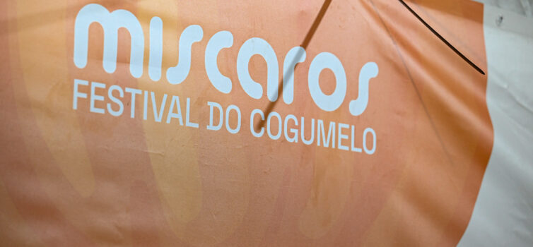 Míscaros - Festival do Cogumelo, em Alcaide