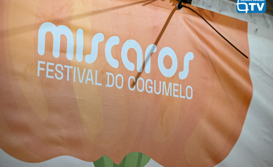 Míscaros - Festival do Cogumelo, em Alcaide