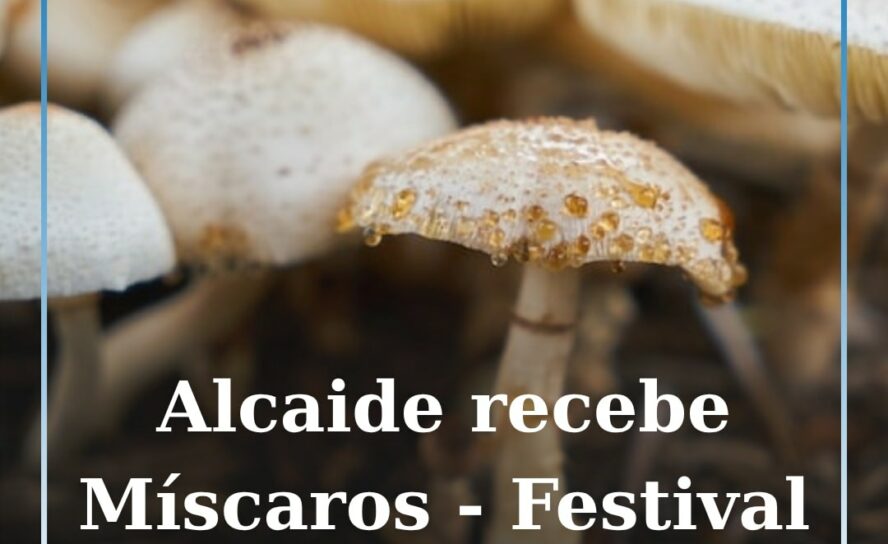 Miscaros – Festival do Cogumelo 2025 regressa ao Alcaide de 12 a 16 de novembro