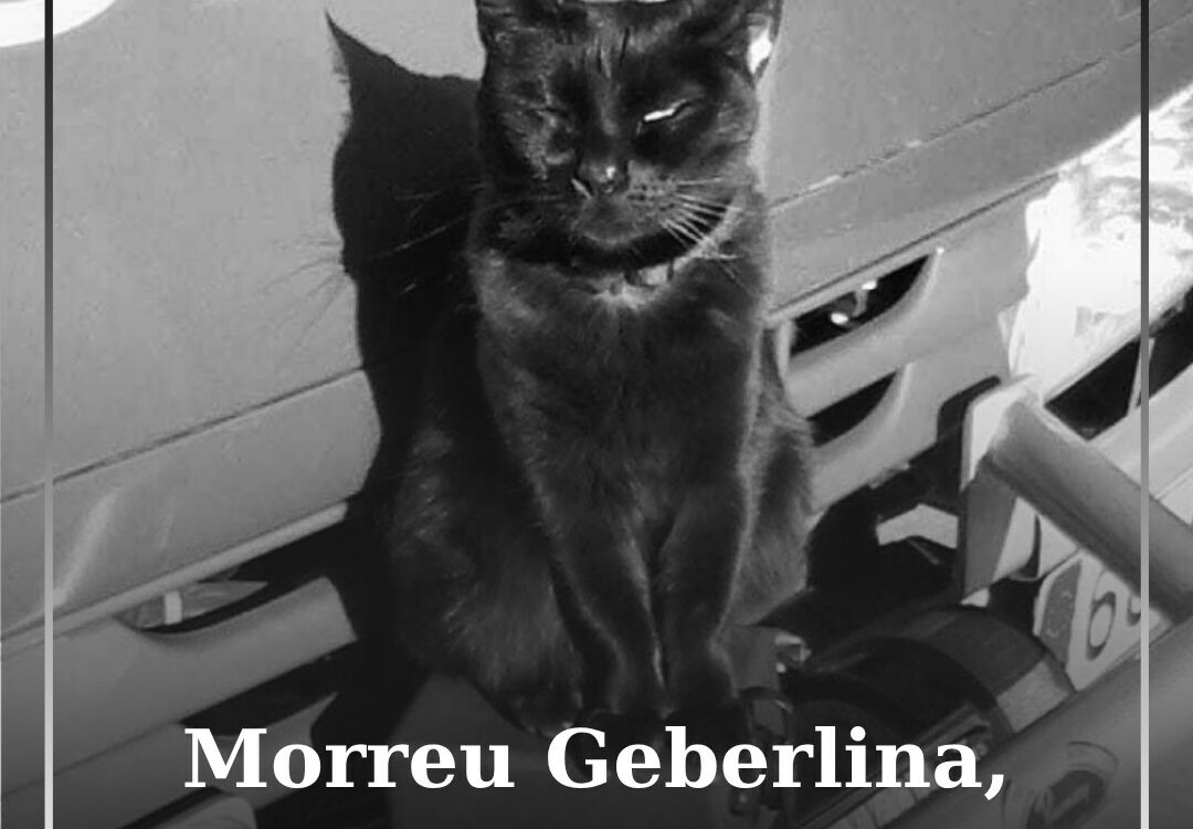 Morreu Geberlina, mascote dos Bombeiros