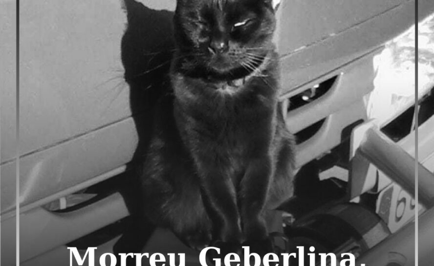 Morreu Geberlina