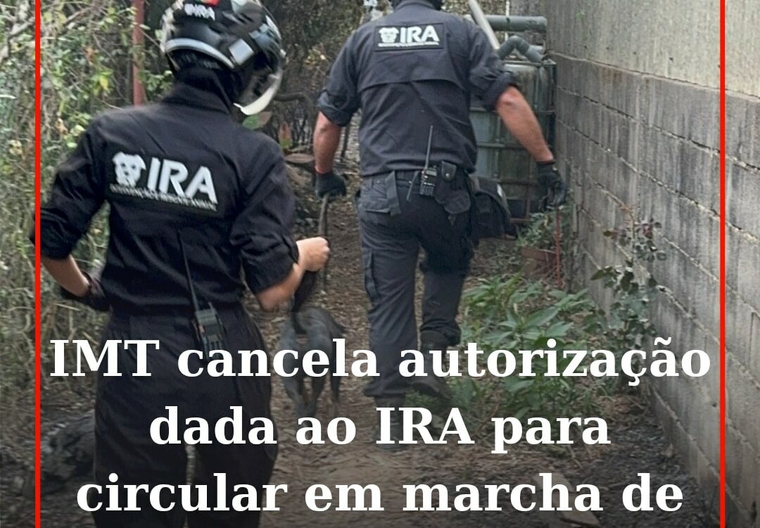 O Conselho Diretivo do Instituto da Mobilidade e dos Transportes (IMT) anunciou,