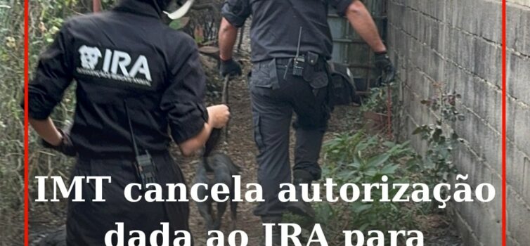 O Conselho Diretivo do Instituto da Mobilidade e dos Transportes (IMT) anunciou,