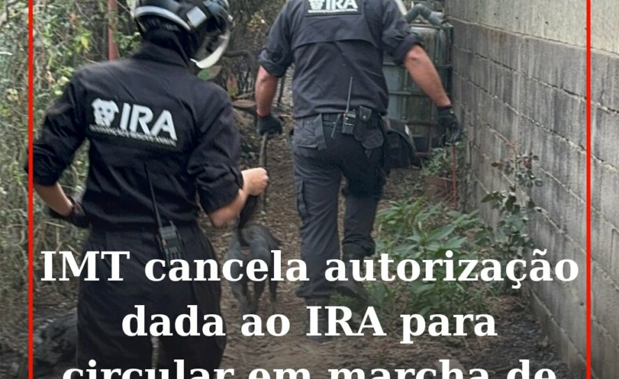 O Conselho Diretivo do Instituto da Mobilidade e dos Transportes (IMT) anunciou,