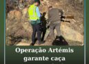 Operação Artémis garante caça responsável em Castelo Branco