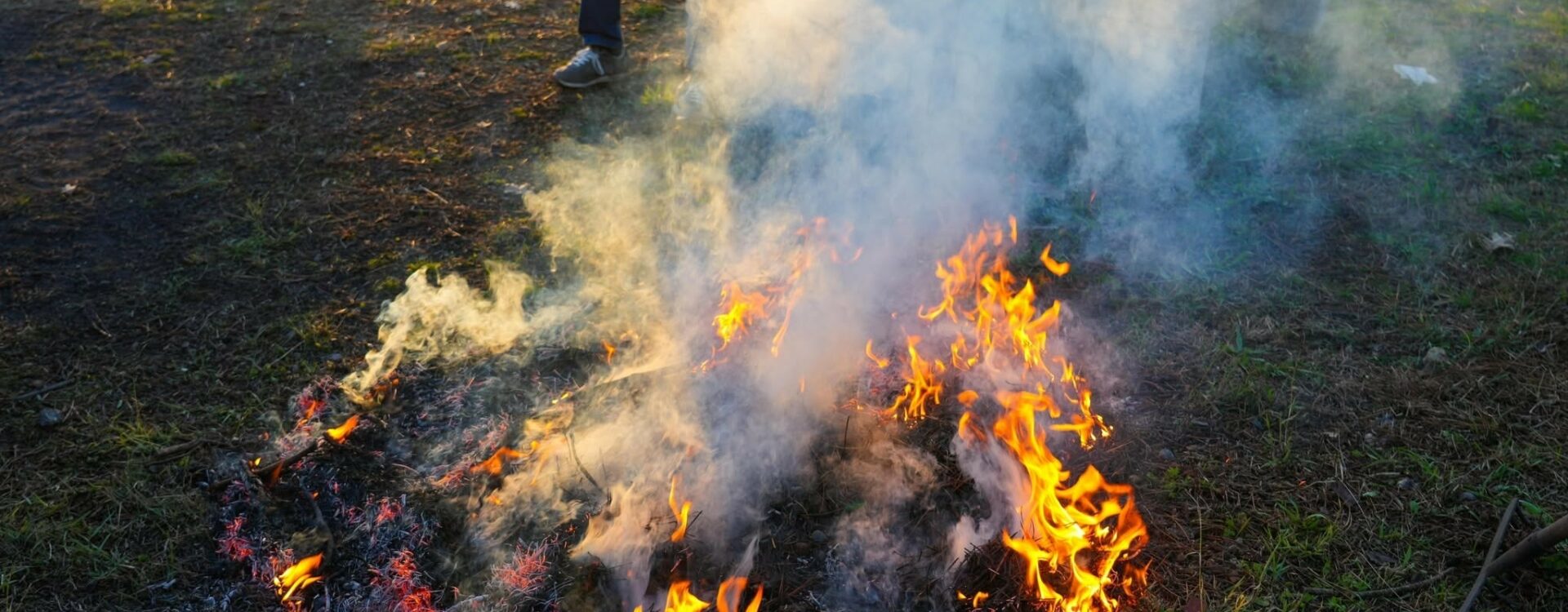 Peraboa celebrou o Magusto com evento para toda a população
