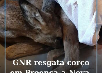 Proença-a-Nova