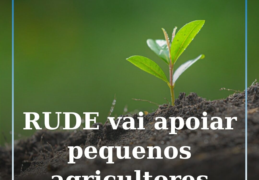 RUDE vai apoiar pequenos agricultores