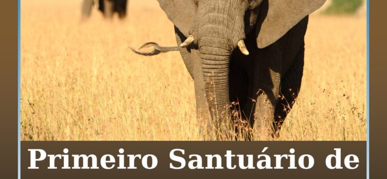 Santuário de Elefantes no Alentejo pronto para receber primeiros animais em 2026