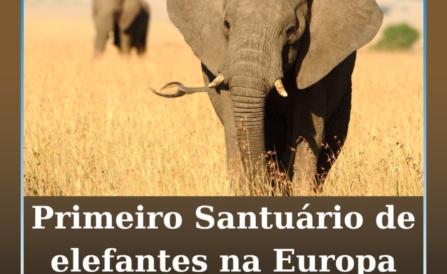 Santuário de Elefantes no Alentejo pronto para receber primeiros animais em 2026