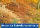 Serra da Estrela pinta-se com cores de Outono\n\nDepois da passagem da Depress\u