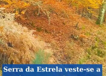 Serra da Estrela pinta-se com cores de Outono\n\nDepois da passagem da Depress\u